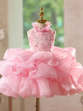 Pink Floral Embroidered Ruffled Princess Dress