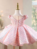 Pink Floral Embroidered Princess Dress with Rose Details